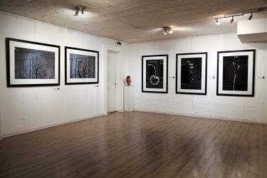 نمایشگاه عکس آرمان مولوی در گالری سیحون 2