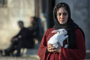 Three Iranian films to compete in Tokyo International Film Festival 