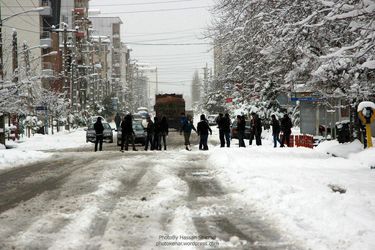 عکس های منتخب باشگاه عکاسان مازندران