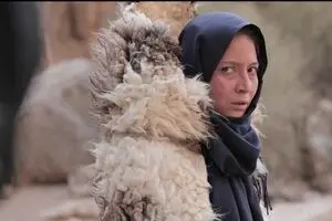 Iranian movies win awards at Light to the World Intl. Youth Film Festival