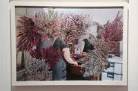 Homa Gallery Hosts Pooneh Oshidari Painting Exhibition