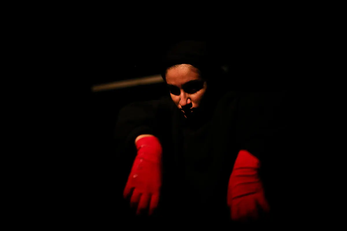 نمایش 