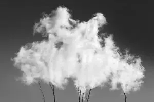 Photographer Nodeh taking “Poems of Silence” to France in praise of hope, peace  