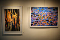 Hesam Darvishpour Photography Exhibition Underway