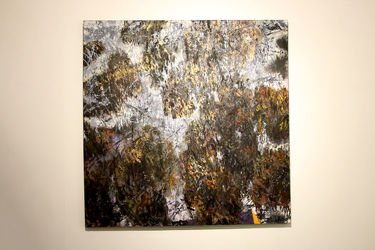 نمایشگاه نقاشی کریم نصر در گالری هور