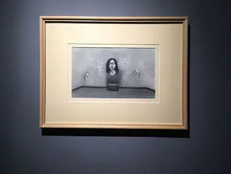 Marjan torabi (11)