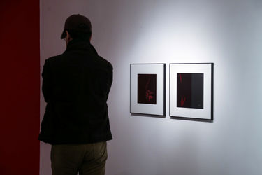 نمایشگاه آثار مینا نوری در گالری طراحان آزاد