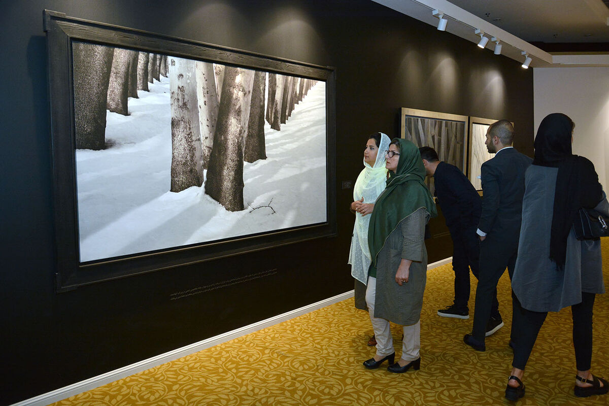 نمایشگاه حراج تهران در هتل پارسیان آزادی - 1