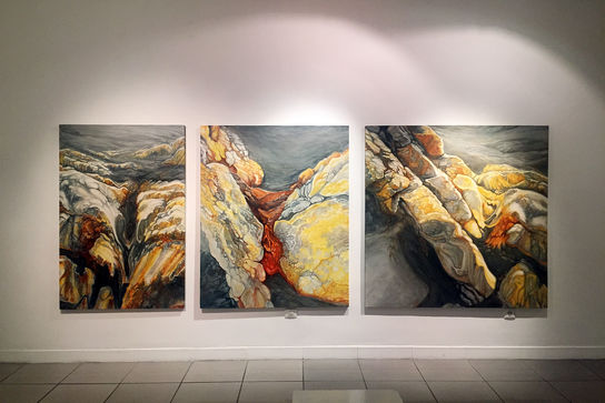 نمایشگاه نقاشی آتش شاه کرمی در گالری ویستا