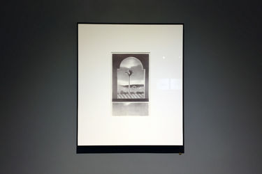 نمایشگاه آثار محمدرضا قربانی در گالری عصر