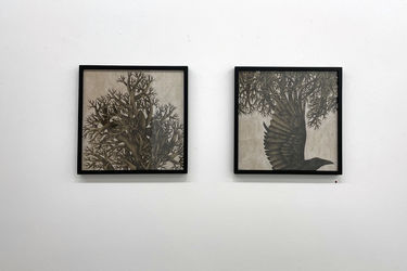 نمایشگاه طراحی انسیه اکبرزاده در گالری اُ 