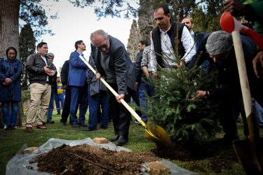 مراسم هفته درختکاری با حضور اصحاب فرهنگ، هنر و رسانه در خانه هنرمندان تهران