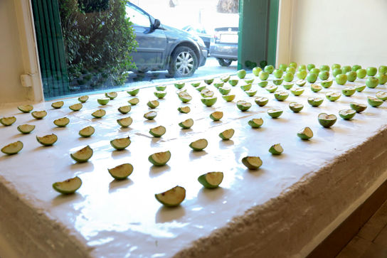 نمایشگاه عکس پدرام لسانی و اسرا مدنی در گالری گلستان