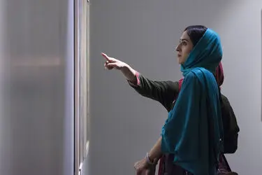 نمایشگاه نقاشی شیما فریدنی در گالری شیرین