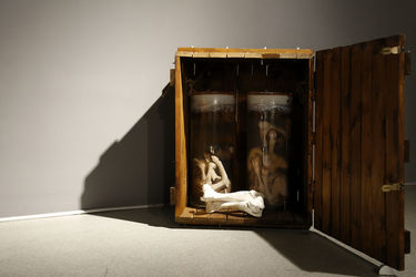 افتتاحیه نمایشگاه آثار ناصر گیو قصاب در گالری آ