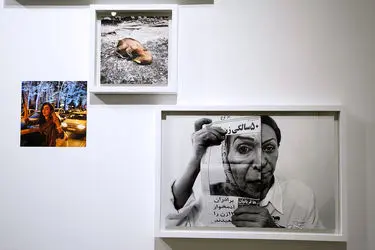 نمایش عکس های نیوشا توکلیان در گالری آب انبار