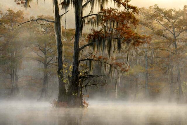 ببینید: تصاویر برگزیده جایزه جهانی عکاسی منظره 