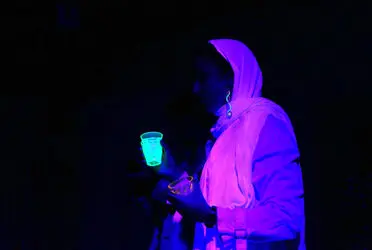 سی پرفورمنس ،سی هنرمند، سی روز
