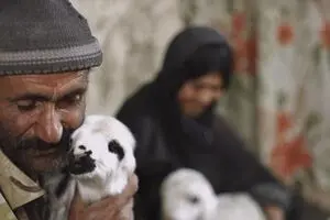 Big Sky documentary festival picks three Iranian films 