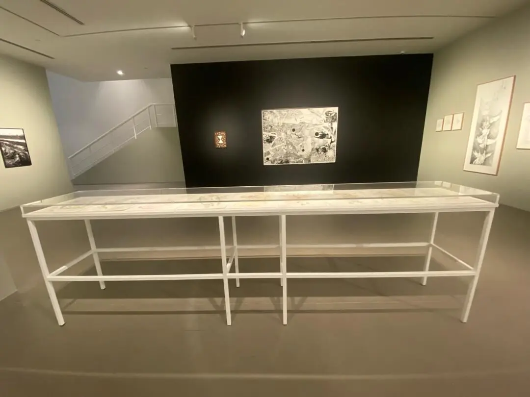 بنیاد هنر ایشارا Ishara Art Foundation | گائوری گیل Gauri Gill