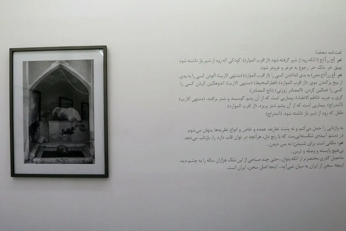 نمایشگاه عکس آرمین امیریان در گالری اعتماد باغ نگارستان