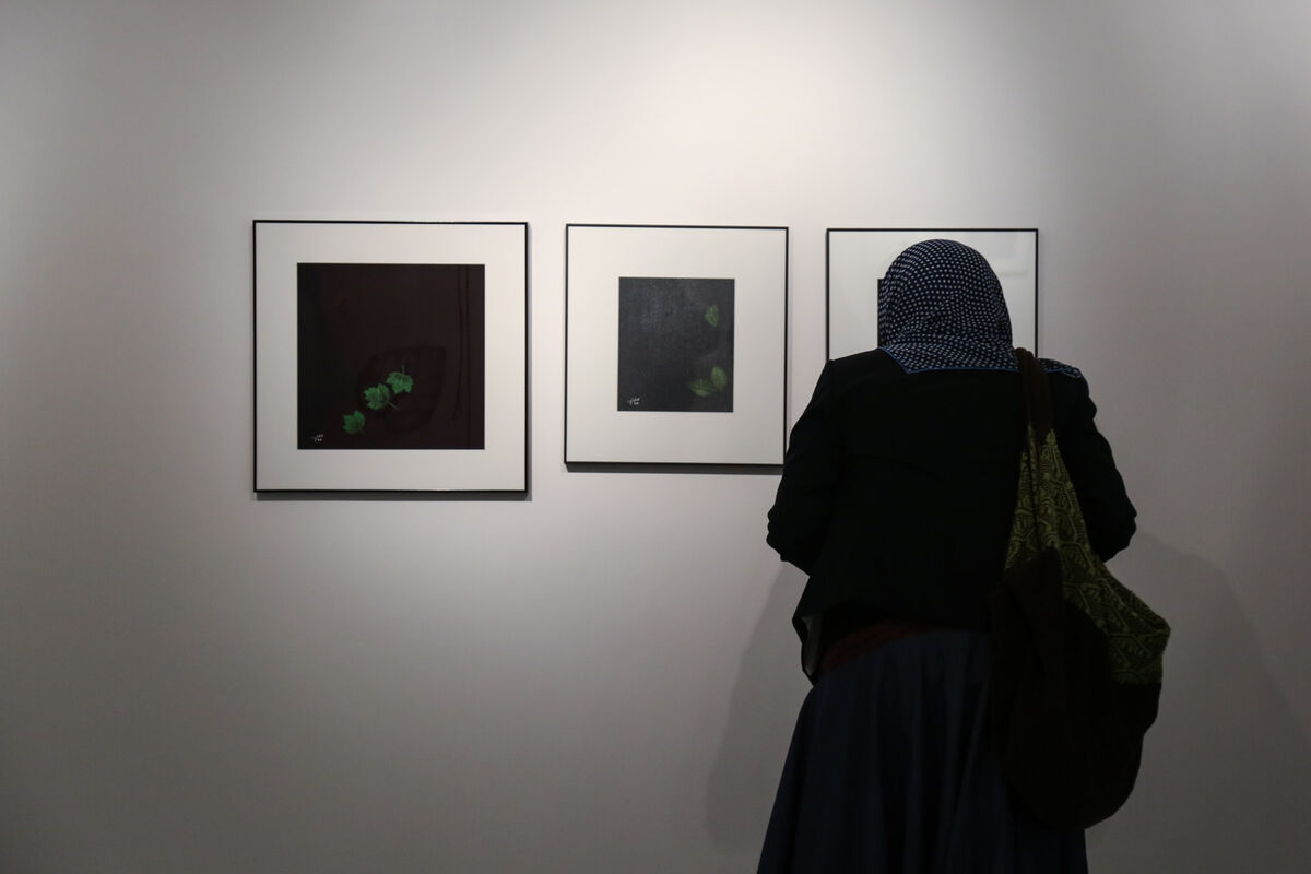 نمایشگاه آثار مینا نوری در گالری طراحان آزاد