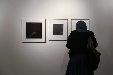 نمایشگاه آثار مینا نوری در گالری طراحان آزاد