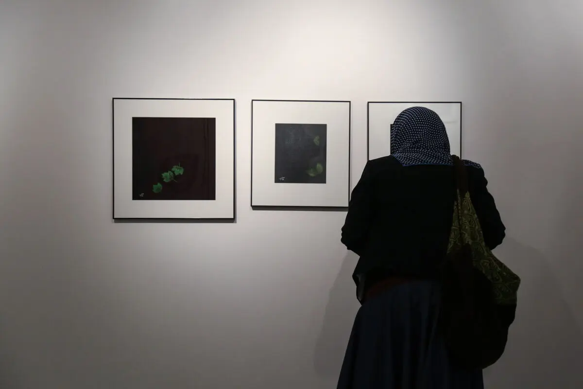نمایشگاه آثار مینا نوری در گالری طراحان آزاد