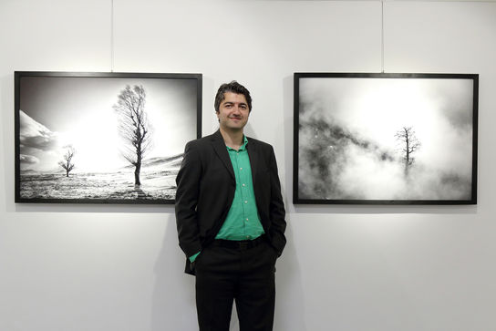 نمایشگاه مصائب درختان در گالری مژده 