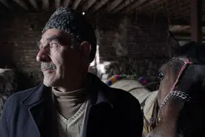 “Sunless Shadows”, “A Horse Has More Blood Than a Human” competing in Korea DMZ festival