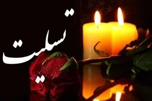 الهام فلاحی به سوگ نشست
