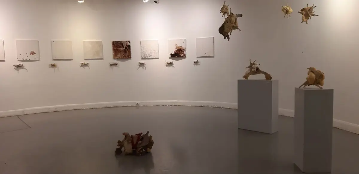 مازادها اثر کریم اله خانی در گالری بهار خانه هنرمندان