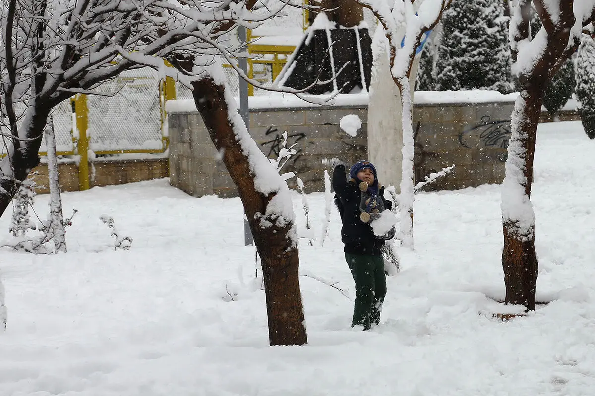 صبح برفی تهران