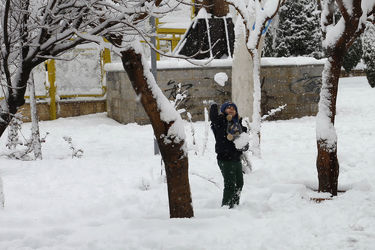 صبح برفی تهران