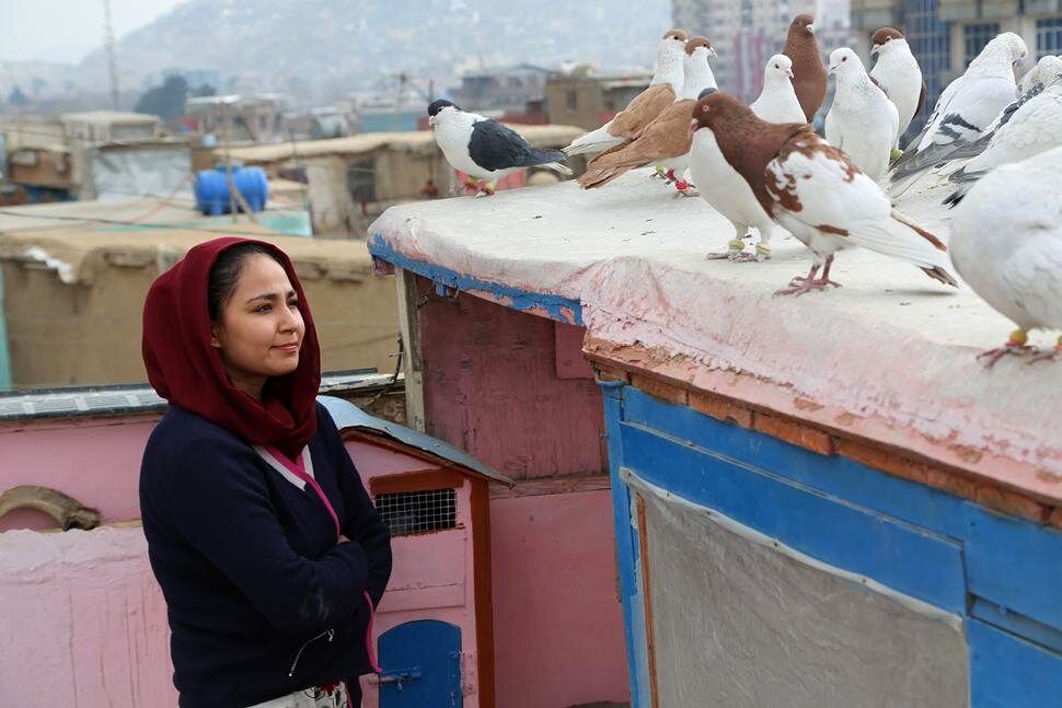 “Hava, Maryam, Ayesha” on screen in Iranian theaters