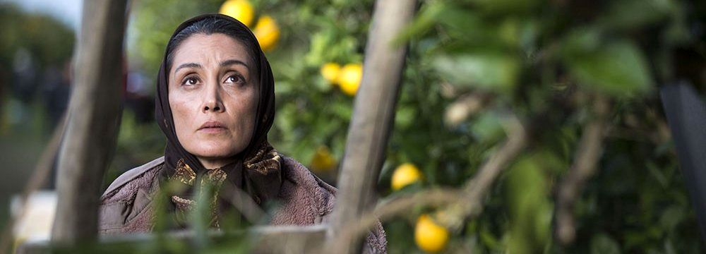 ‘Orange Days’ at Zurich Film Festival