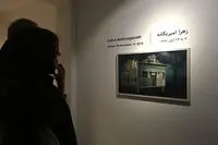 Zahra Amiryeganeh Painting Exhibition Underway