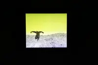 این روزها "ویستا" لبریز از تصویر و انتقاد است/ویدئوآرت هایی برای توجه به زیست بوم انسان/ نگاهی به نمایشگاه "گیاه‌شناسی"