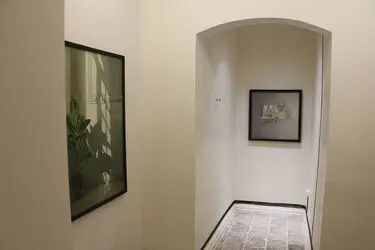 نمایشگاه نقاشی فتانه فروغی در گالری این جا