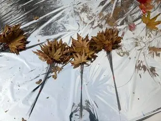 پنجمین دوره رویداد هنری «پاییز_برگ» در میدان مشق