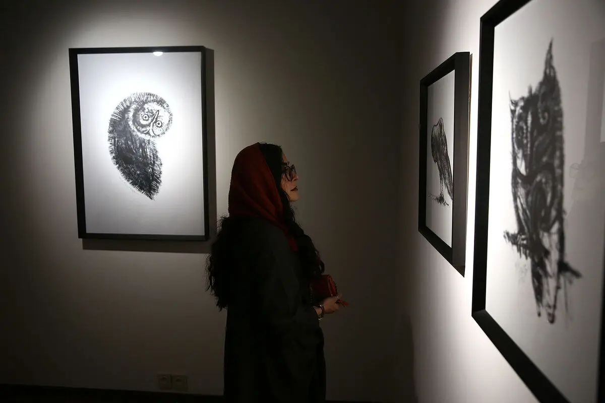 نمایشگاه آثار کامبیز درم بخش و سهیل حسینی در گالری آ