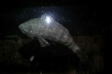 نمایشگاه آثار شکوفه خرم‌رودی و تابا فجرک در گالری زیرزمین دستان