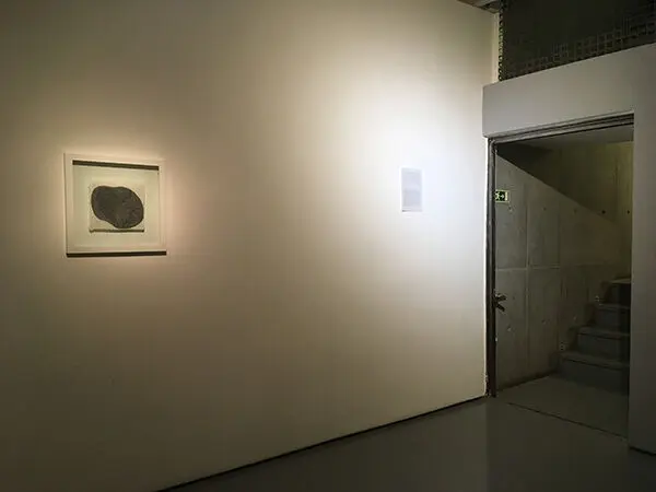 Ali Shayeste (10)