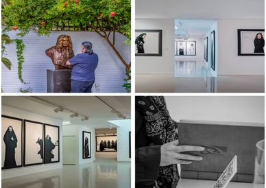 Afshin Pirhashemi at Boom Gallery - Photos