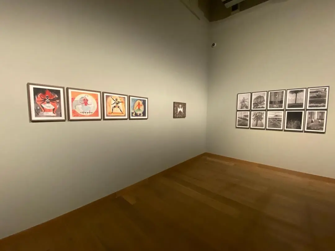 بنیاد هنر ایشارا Ishara Art Foundation | گائوری گیل Gauri Gill
