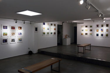 نمایشگاه آثار 37 هنرمند با حمایت بابک اطمینانی در گالری مژده