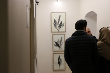 نمایشگاه آثار فرناز ربیعی‌جاه در گالری این جا