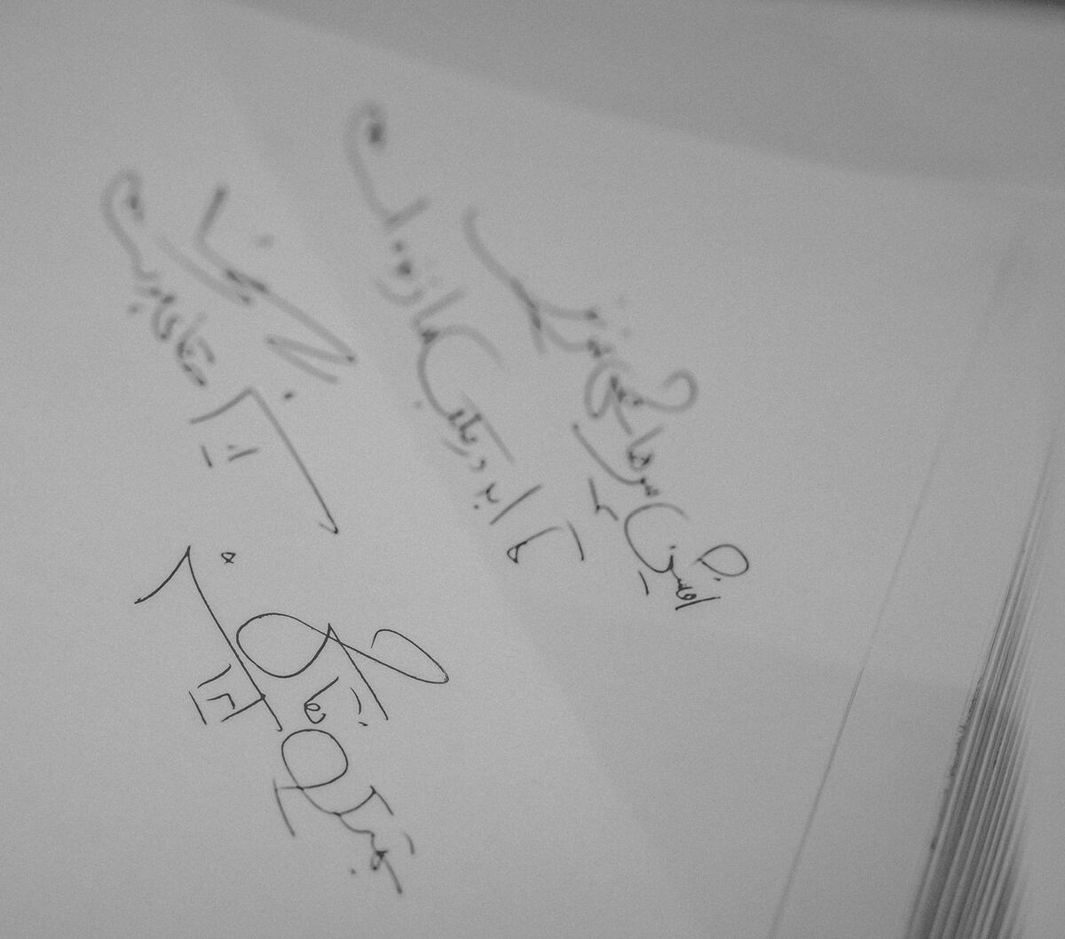 افشين پیرهاشمی گالری بوم