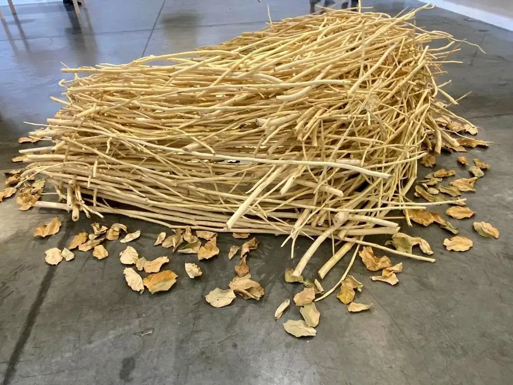 Jamal Tayara Baroudy with 'Ways of Seeing' at Tashkeel Studio
