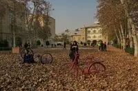 Artistic Fall-Leaf Art Event in Tehran